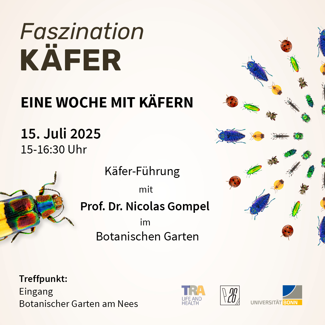 Eine Woche mit Käfern: Käfer-Führung durch den Botanischen Garten