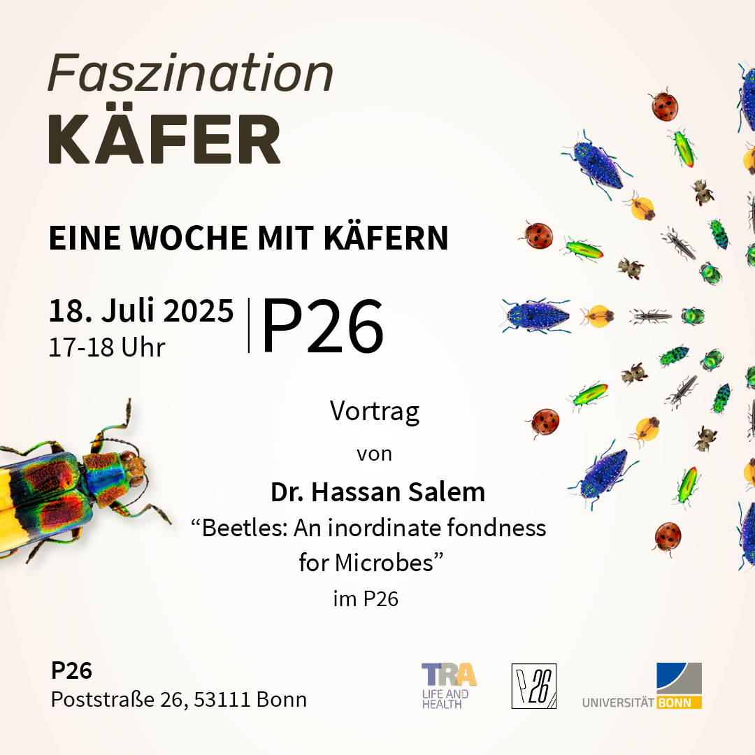 Eine Woche mit Käfern: Vortrag von Dr. Hassan Salem