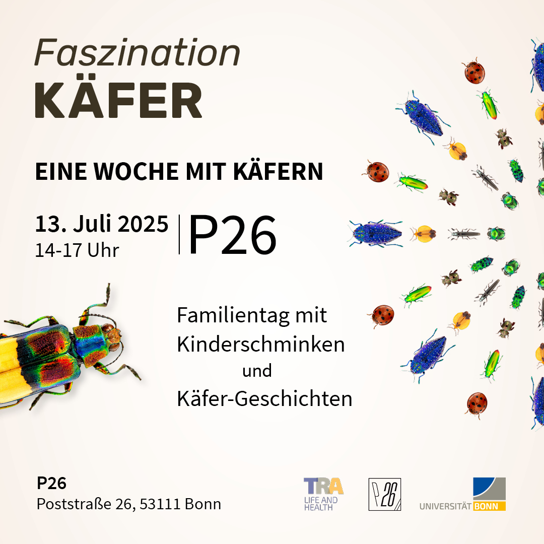 Eine Woche mit Käfern